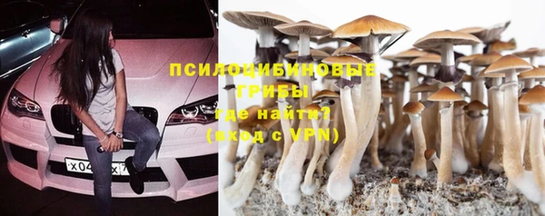 а пвп мука Балабаново