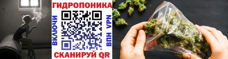 Канабис OG Kush  Никольское 